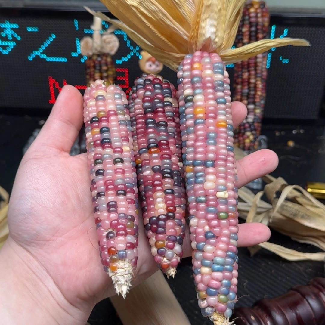 柏香籽/百香籽吊坠*️**