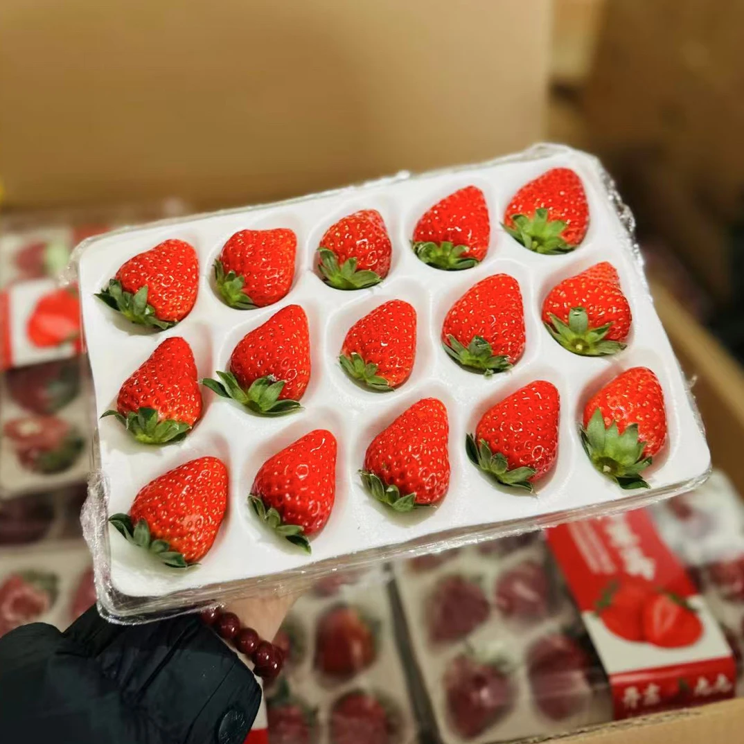 丹东九九红颜奶油草莓