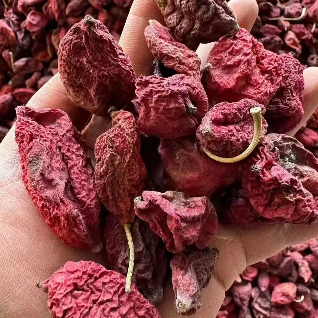 龟臼果  云南高海拔 龟臼果