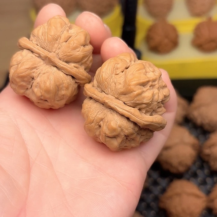 桃核吊坠36全品蛤莫头