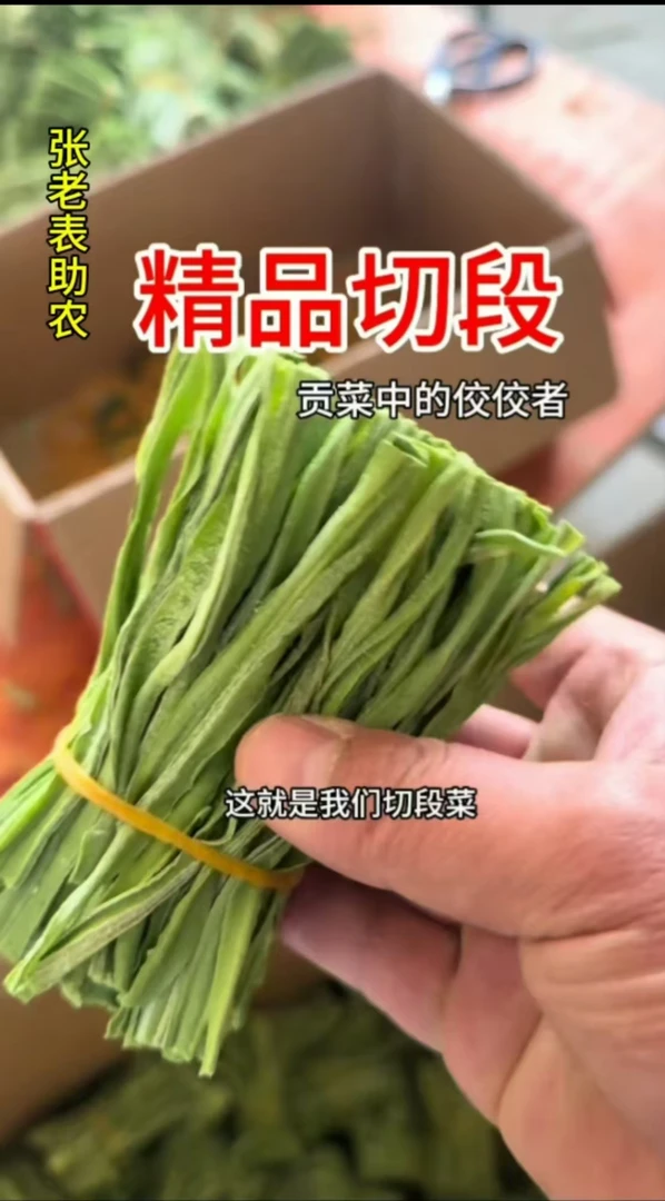 海底捞同款2025年云南贡菜精选中段