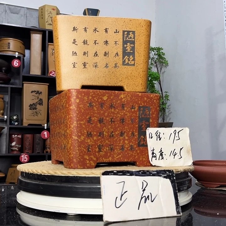 紫砂花盆盆友记紫砂
