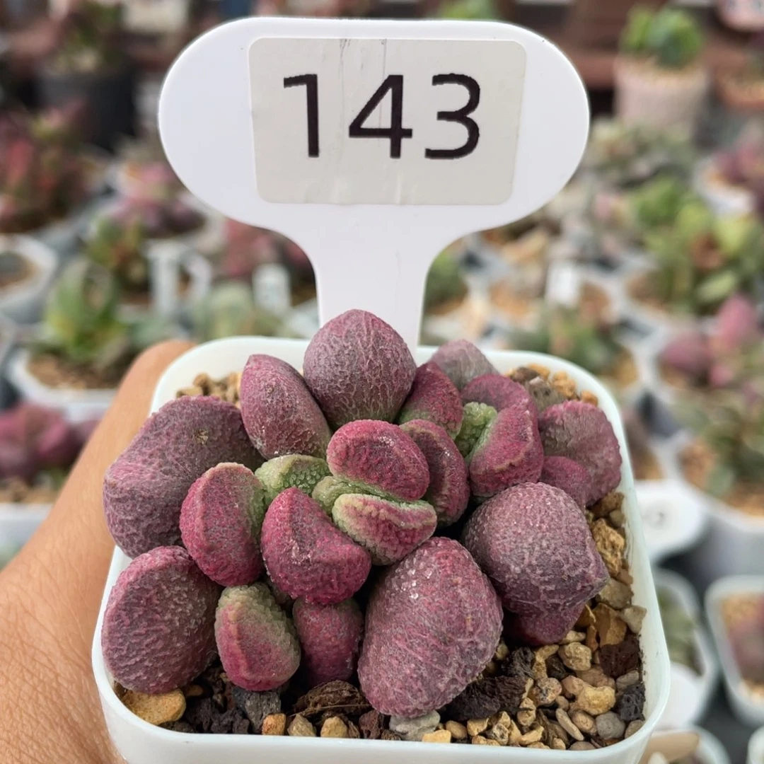 福利。    福利。