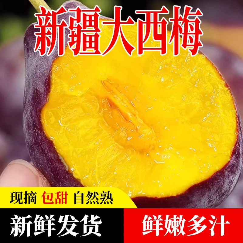 【王中王】正宗新疆爆甜西梅新鲜采摘应季大西梅现摘现发