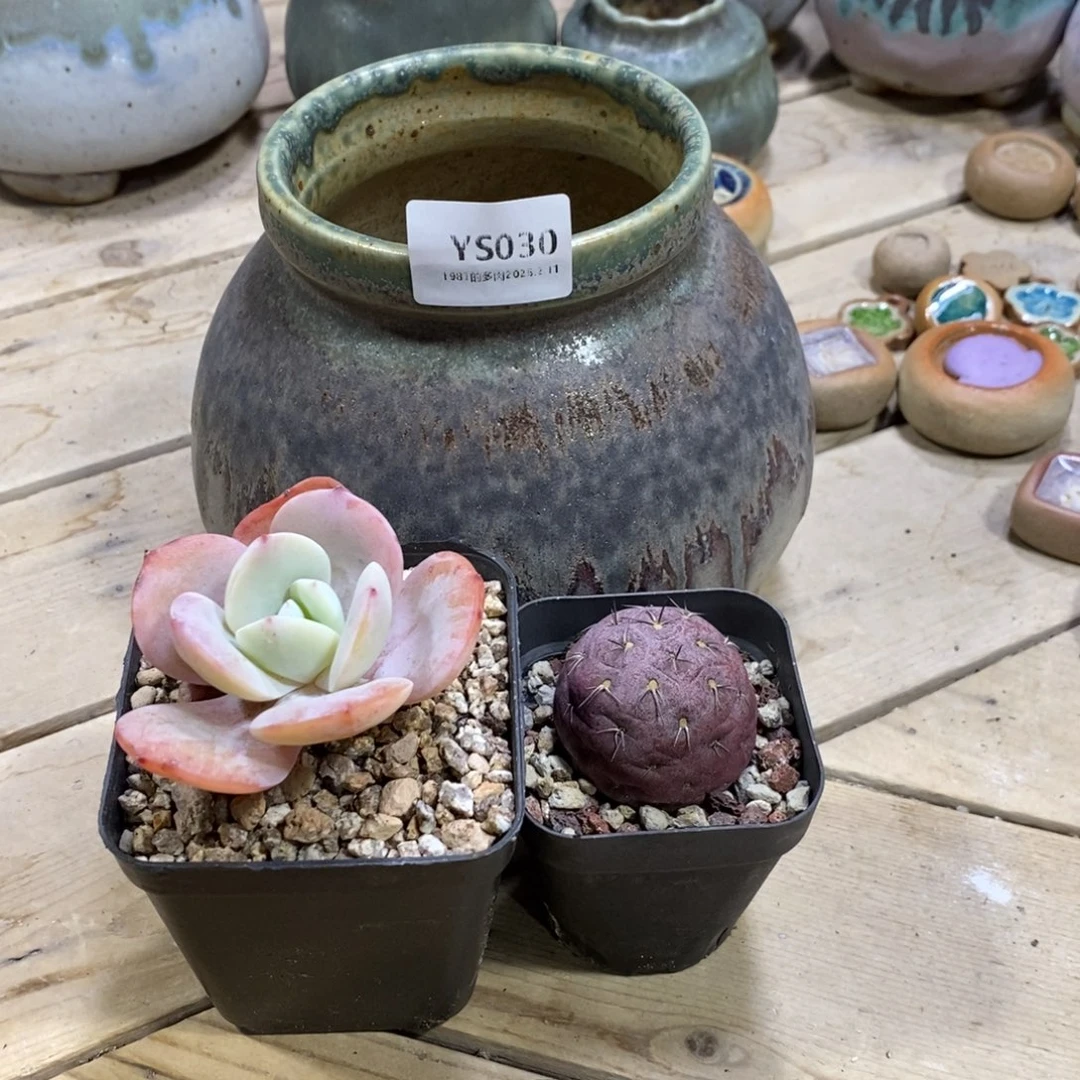 粗砂花盆?****姐YS030盆盆盆盆