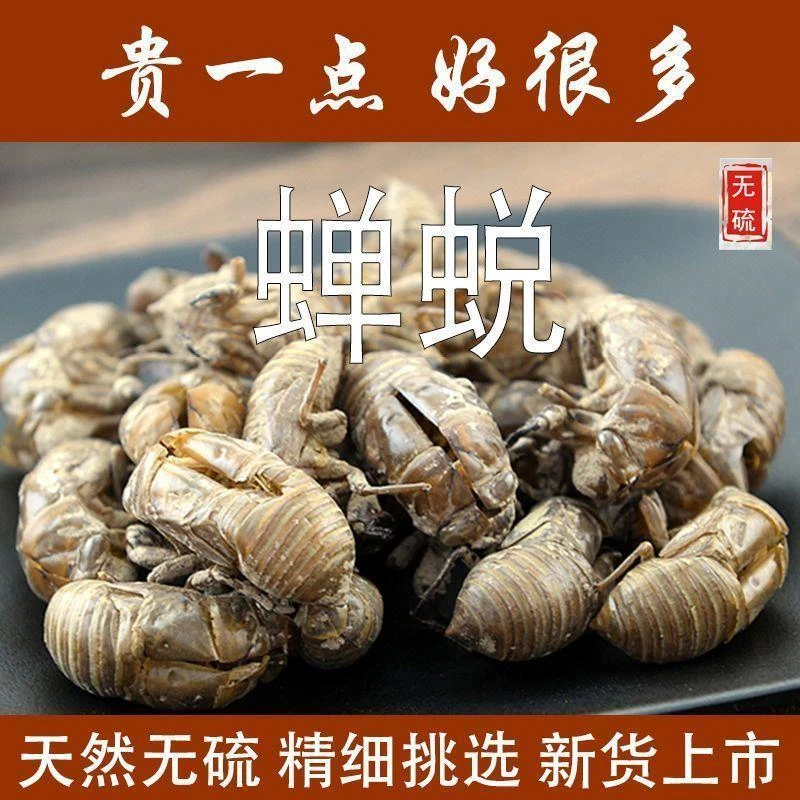 北纬°农家蝉蜕金蝉衣知了猴壳高山新鲜无硫装药房可用