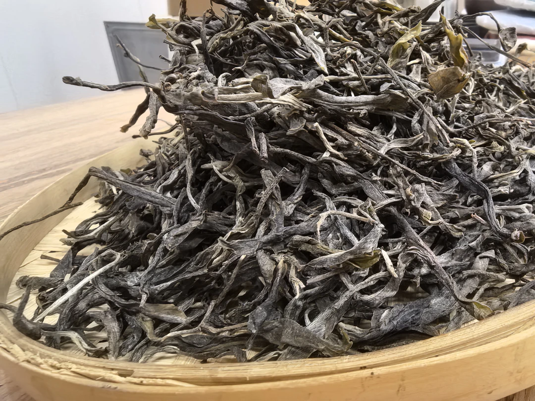 2025昔元核心区古树茶 回甘好，甜度高，汤色金黄透亮，茶气足