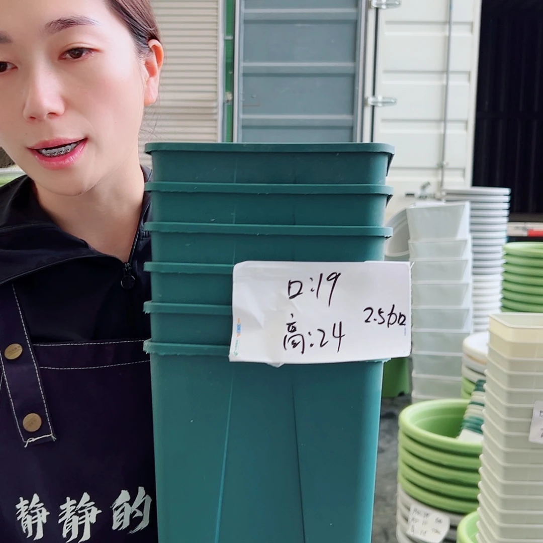 方盆Kg192墨绿5个无托