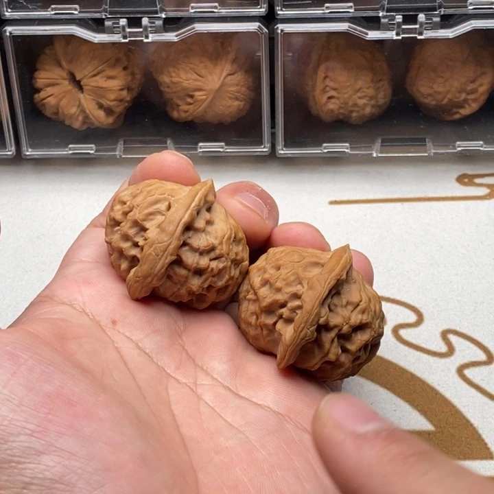 木质类44+全品无修大耳朵图图