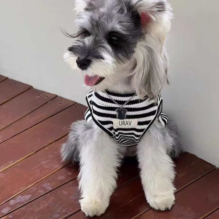 宠物狗狗春夏季薄款防掉毛可爱条纹背心小型幼犬泰迪雪纳瑞通用衫