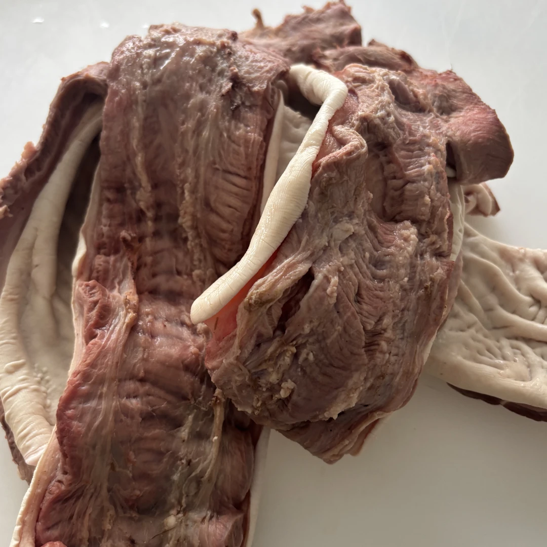 牛红肠，每天鲜出酱炖红烧爆炒