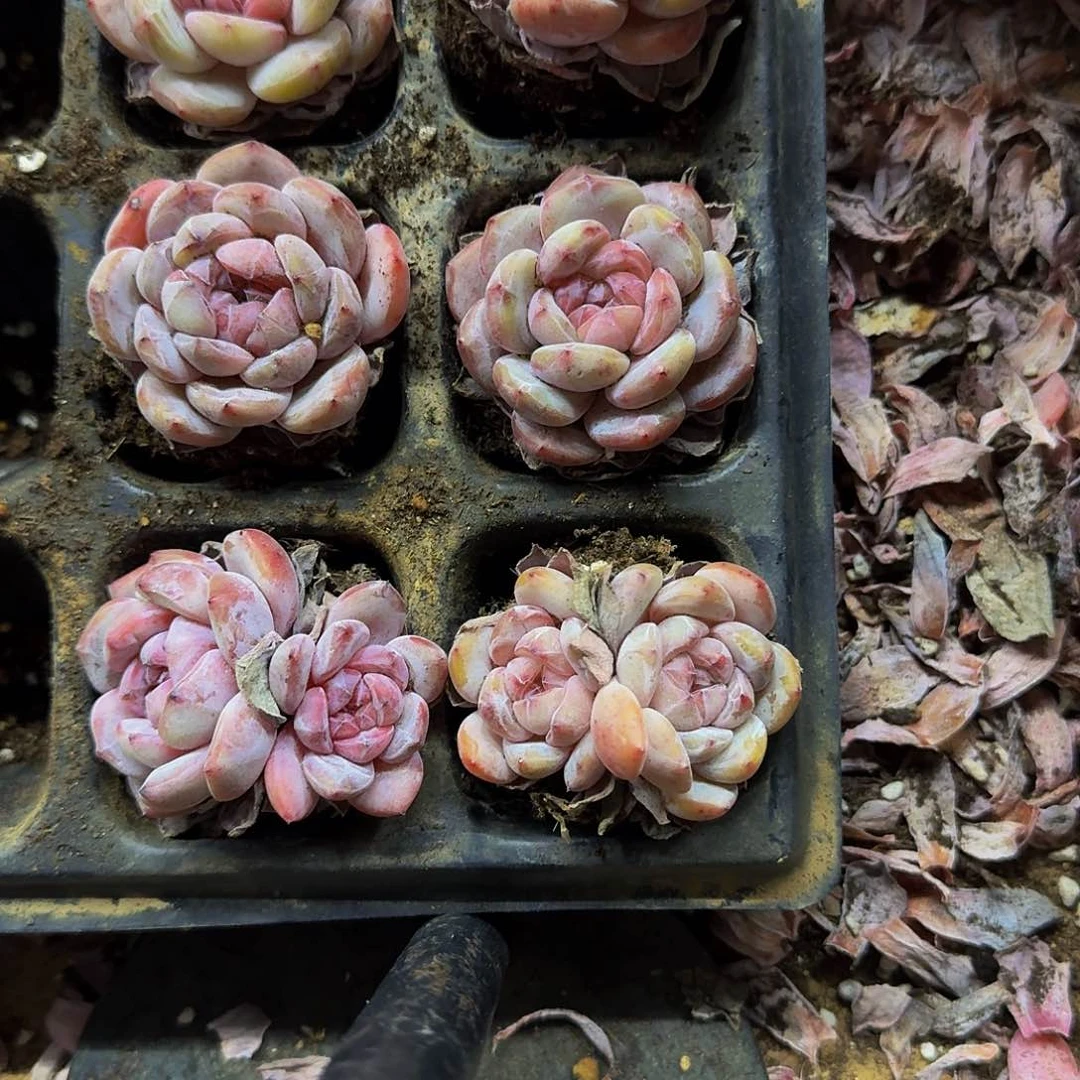 奈*哈哈哈哈哈哈哈哈哈哈哈