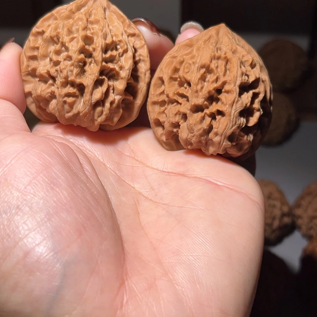 洋***Z木质类野牛44全品