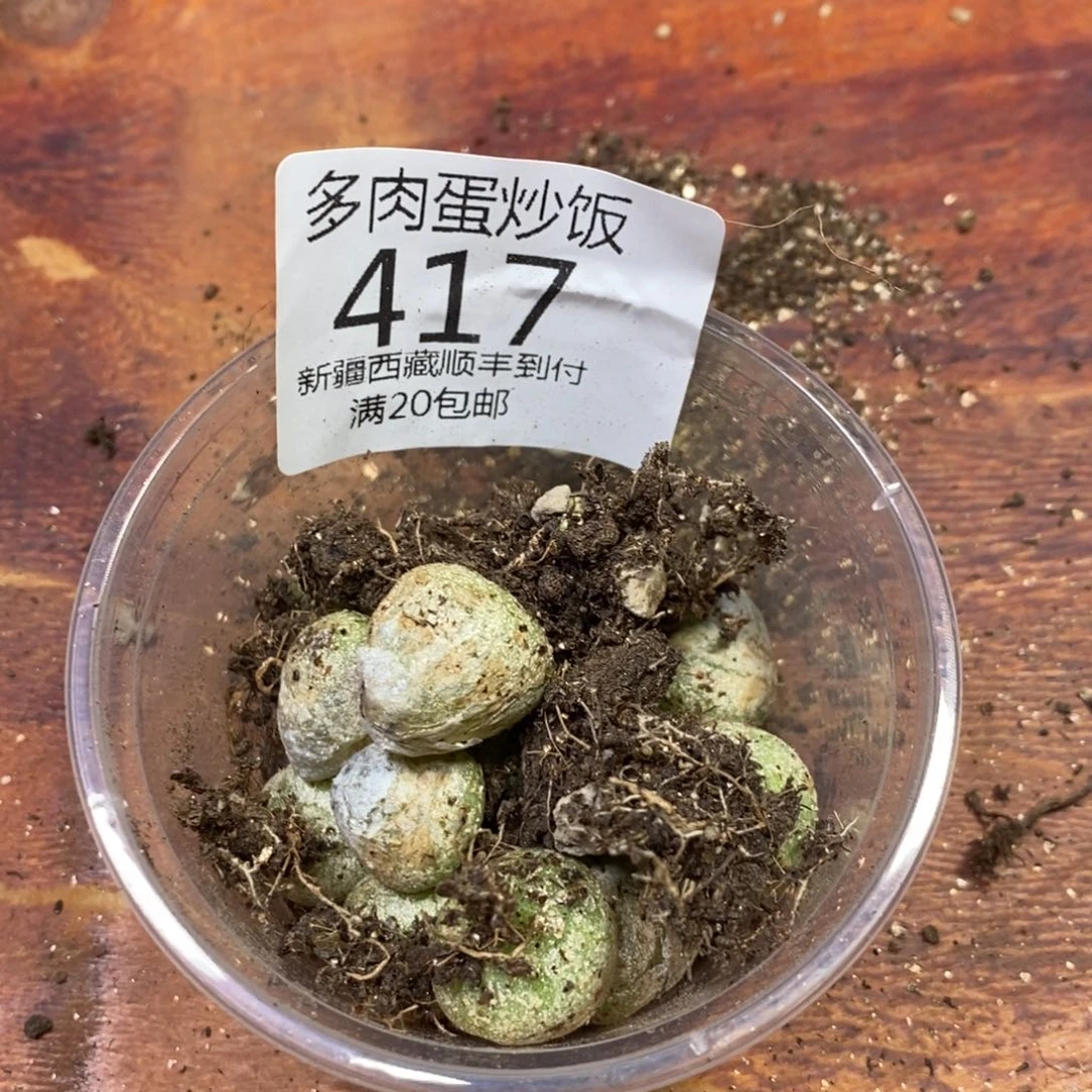 多肉蛋炒饭000417