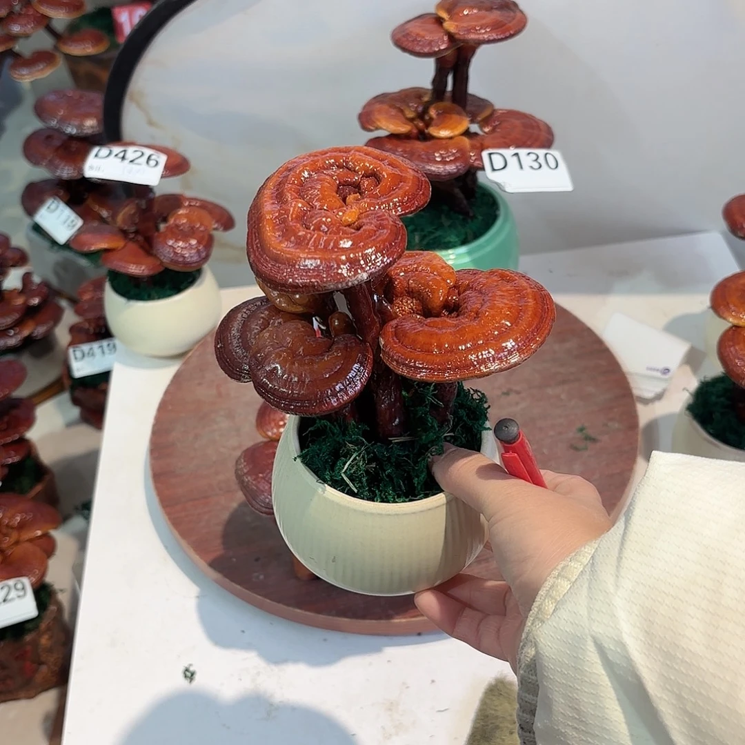 不***材无花朵8888888888