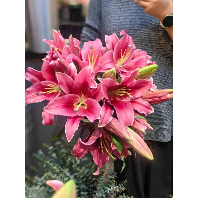 多头绚丽单瓣香水百合 实物以直播间展示为准