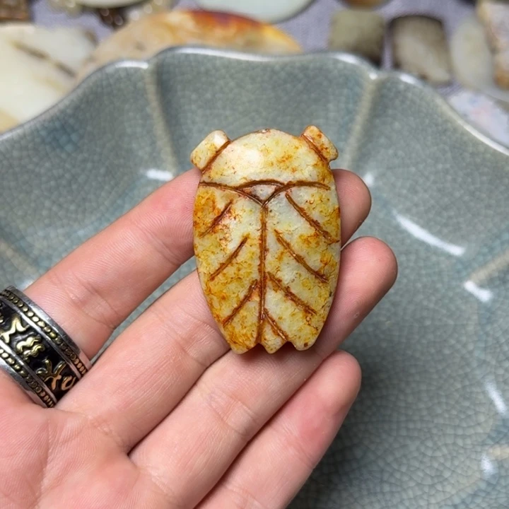 直播放漏专属链接64