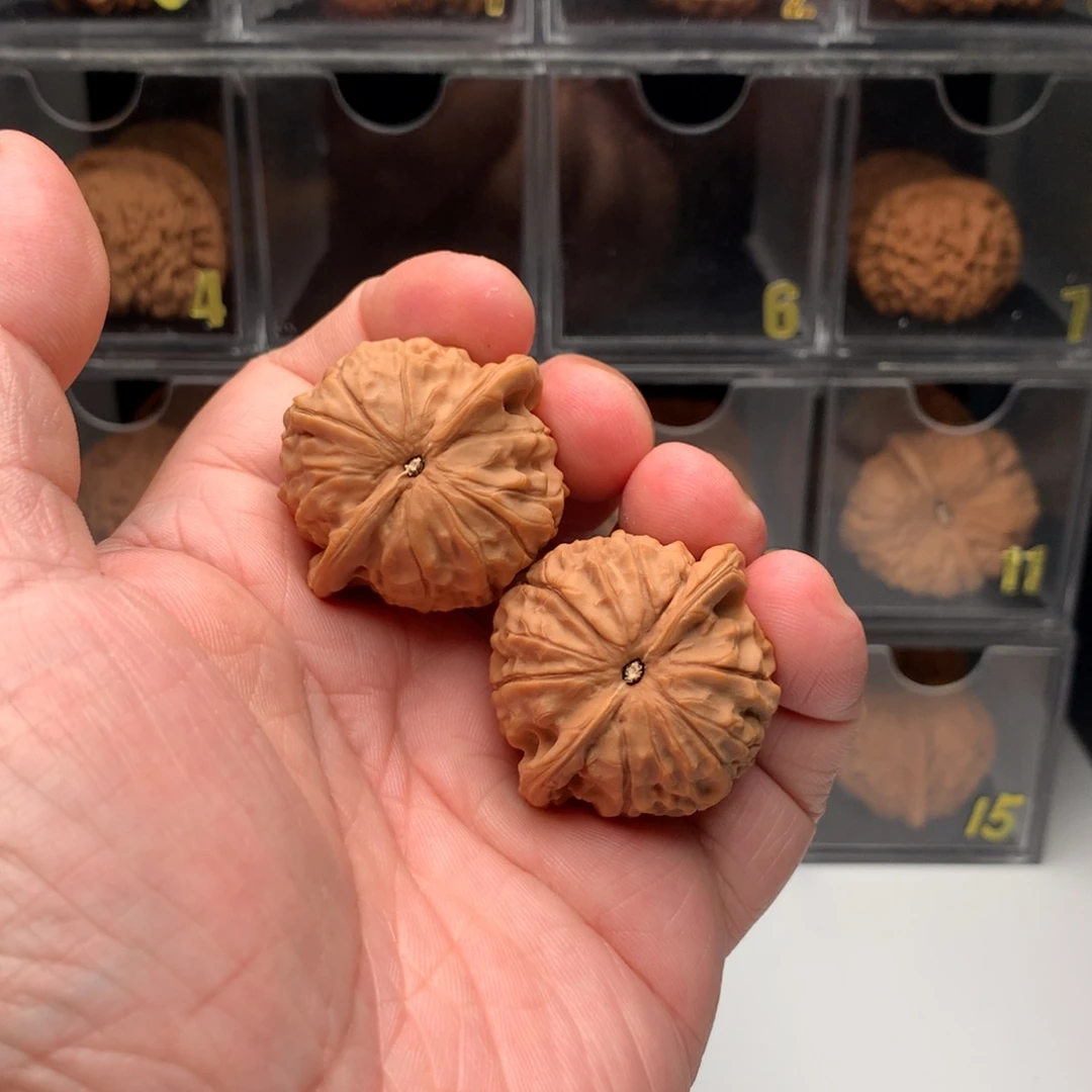 明***就桃核吊坠文玩核桃123456