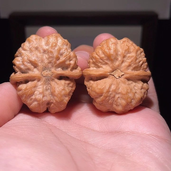 三***年手串/手链核桃023