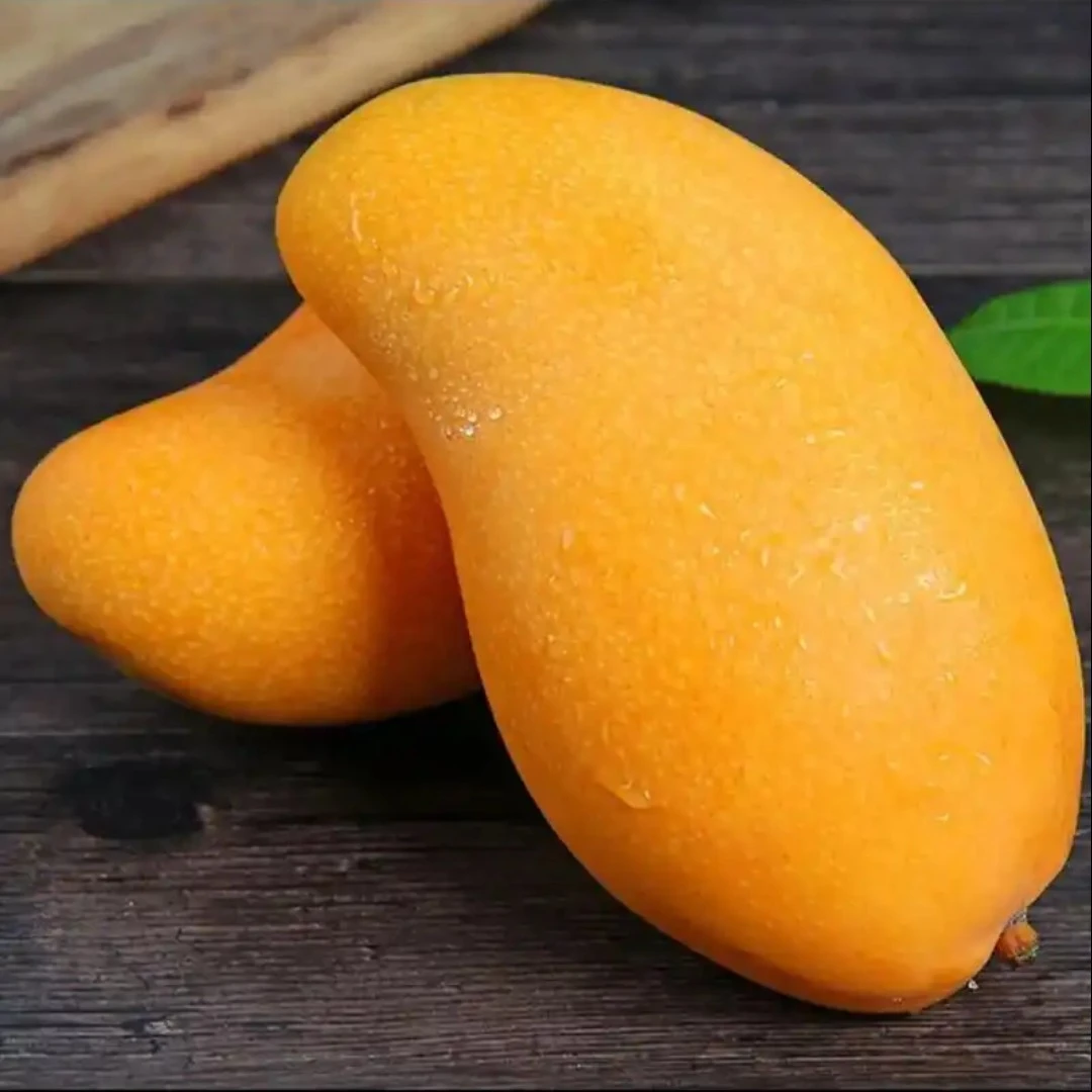 海南金煌芒一个约550-650g