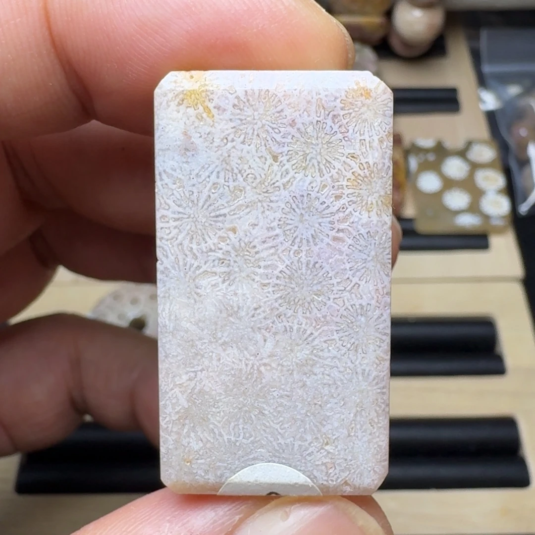 硅化珊瑚（珊瑚玉）未镶嵌纯天然色有机玉石保真色