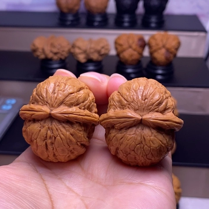 文玩核桃把件金龟玉甲29