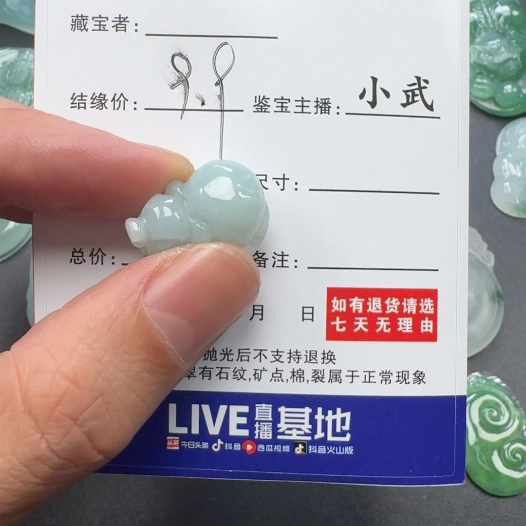 翡翠未镶嵌颈饰     58