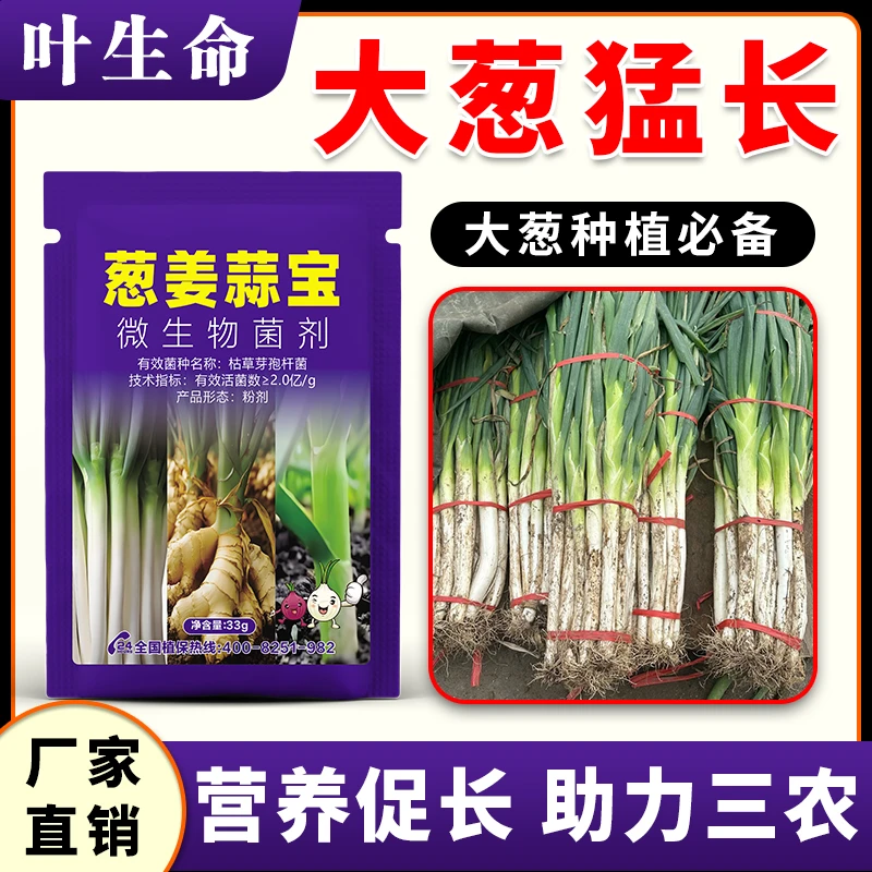 大葱猛长大葱专用肥防干尖软腐白粉加快生长大葱微生物肥料