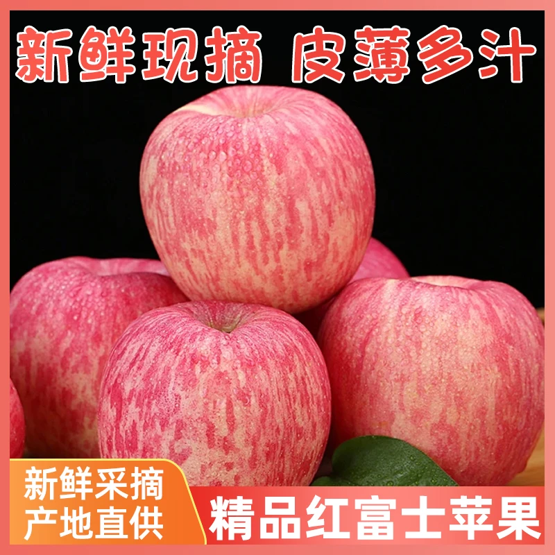 【烟台苹果】正宗山东烟台精品红富士苹果 脆甜多汁 产地新鲜直发