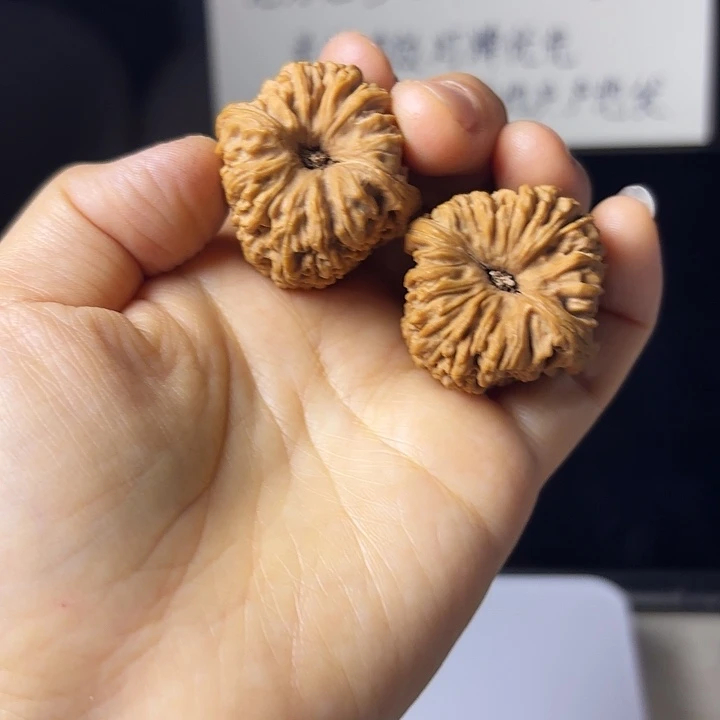 元***丶南疆石狮子头高炮一对