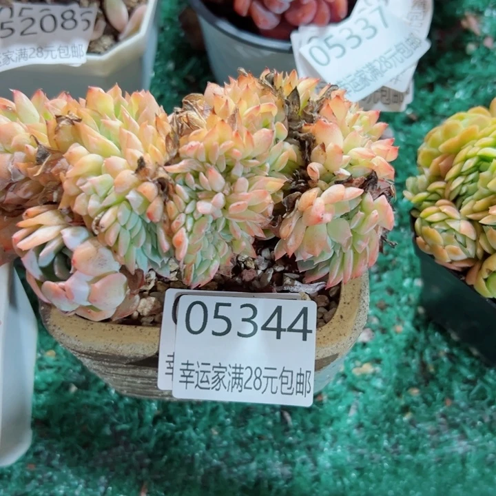 幸运的是我还没遇到