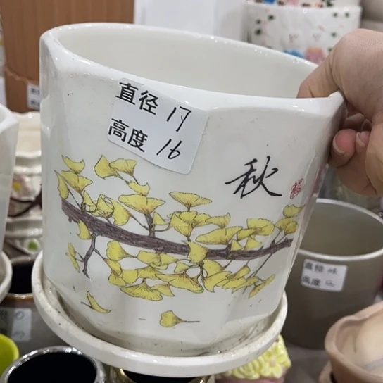 多肉绿植陶瓷花盆9.9包邮，有孔