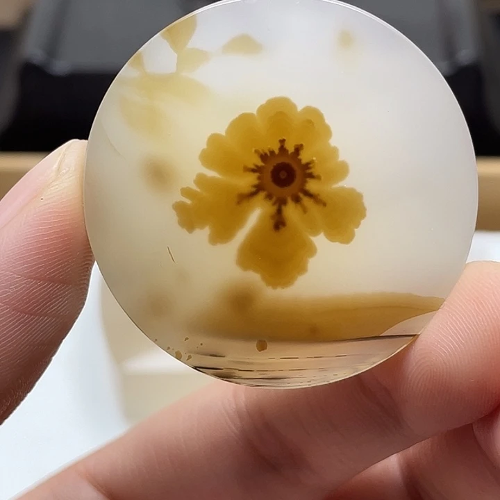 水***水玛瑙/玉髓未镶嵌颈饰