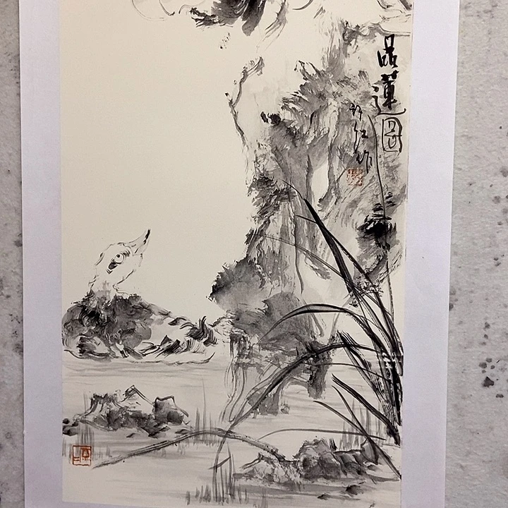 国画旷**舟国画作品欣赏荷花