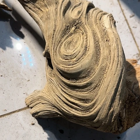 【闪购商品】柏木（崖柏）崖柏陈化料004