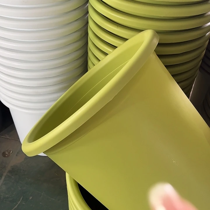 四季9号果绿无托4个特价
