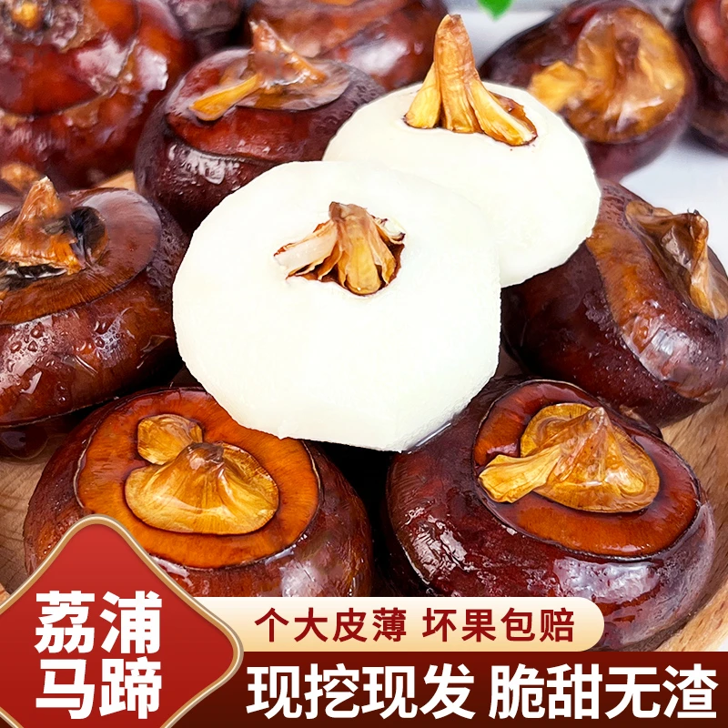 新鲜马蹄荔浦荸荠多汁脆甜地梨应季水果蔬菜