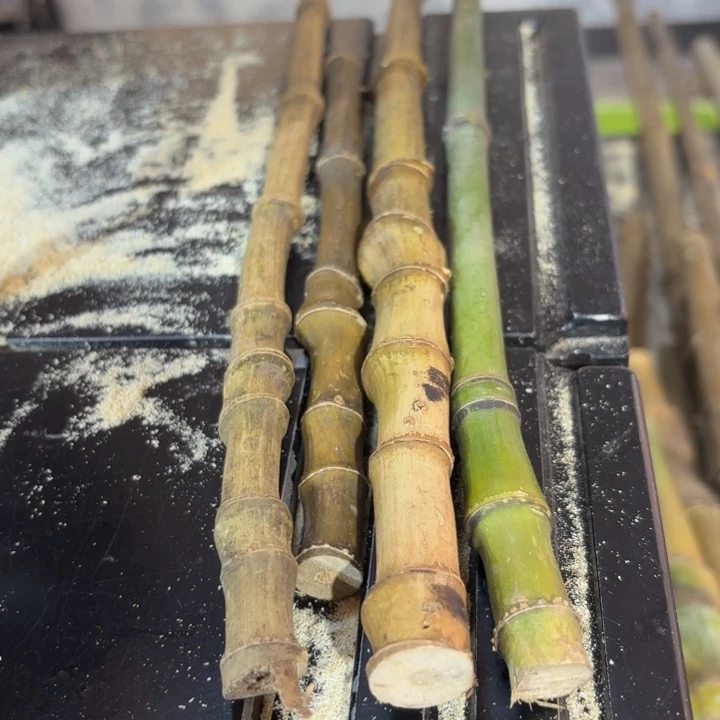 竹╰****╯实心竹竹竹竹竹竹