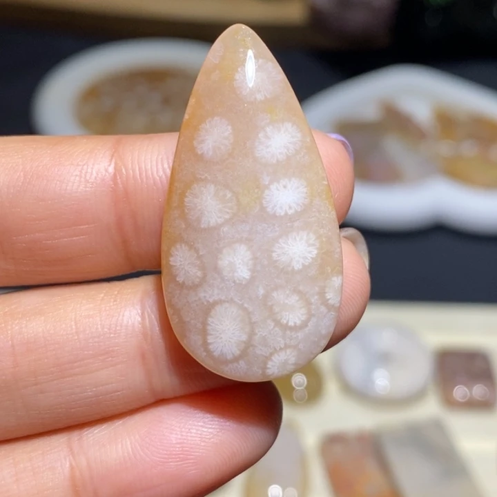 【闪购商品】未镶嵌珊瑚玉硅化玉