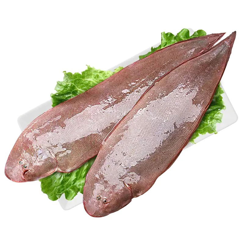 细鳞（龙舌鱼）大规格7两左右一条 新鲜到港