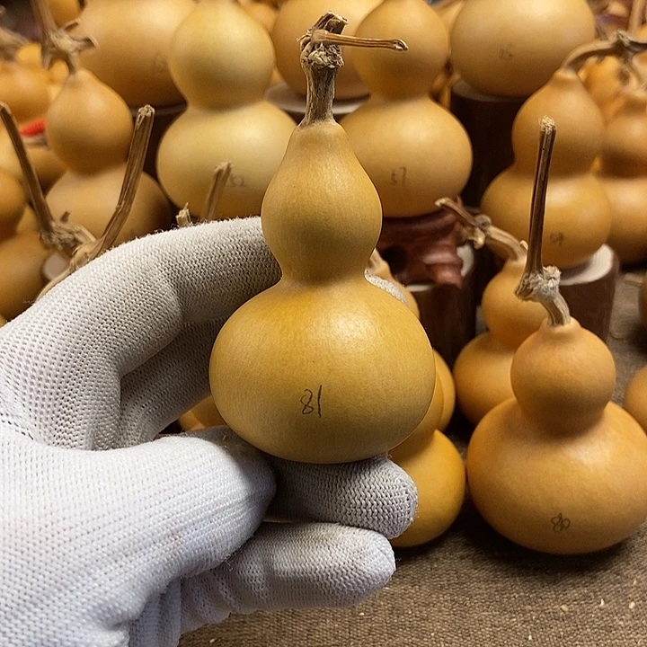 文玩葫芦 完美主义者 慎拍81