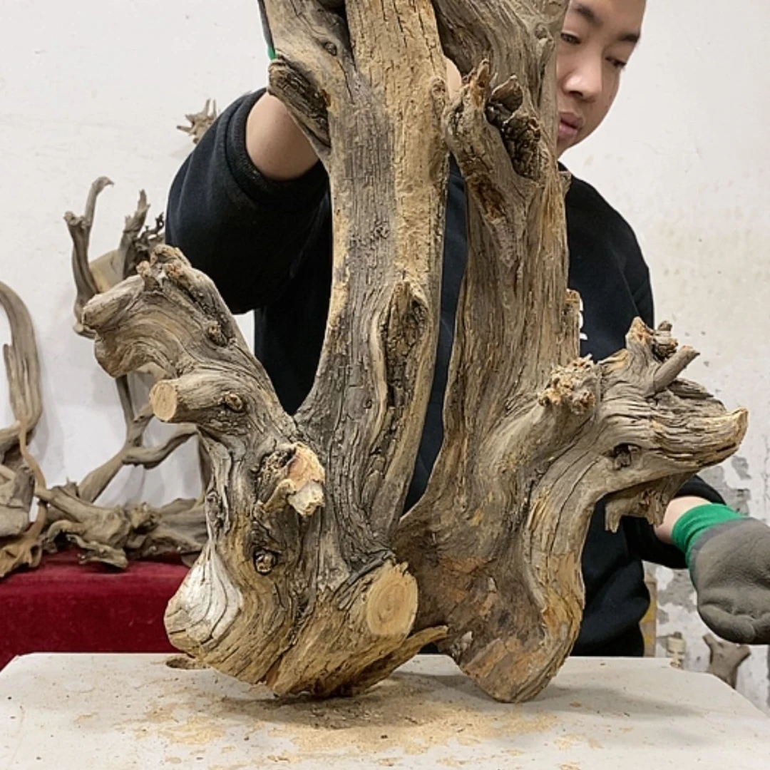【闪购商品】柏木随***我们都是好孩子