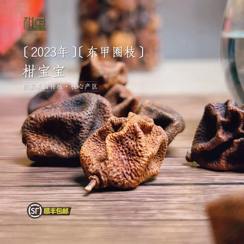 [柑宝]2023年新会东甲圈枝柑宝 梅子香小柑仔 陈香醇厚 茶枝柑胎