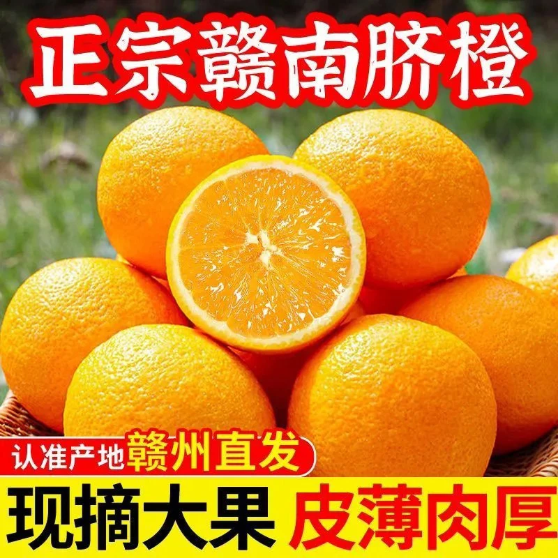 【现摘现发】正宗赣南脐橙皮薄肉厚多汁当季新鲜采摘产地直发L