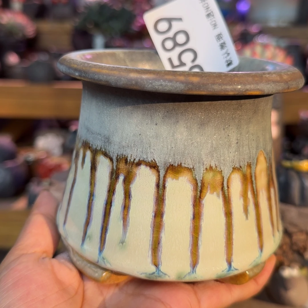 重庆小燕子欢迎大家589