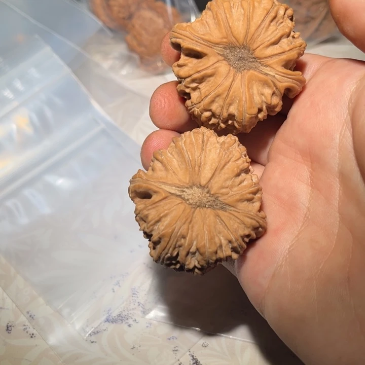 全品闷尖卡姿兰白狮子