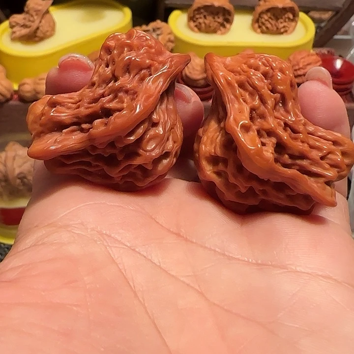 为**活小鸟……核桃……核桃