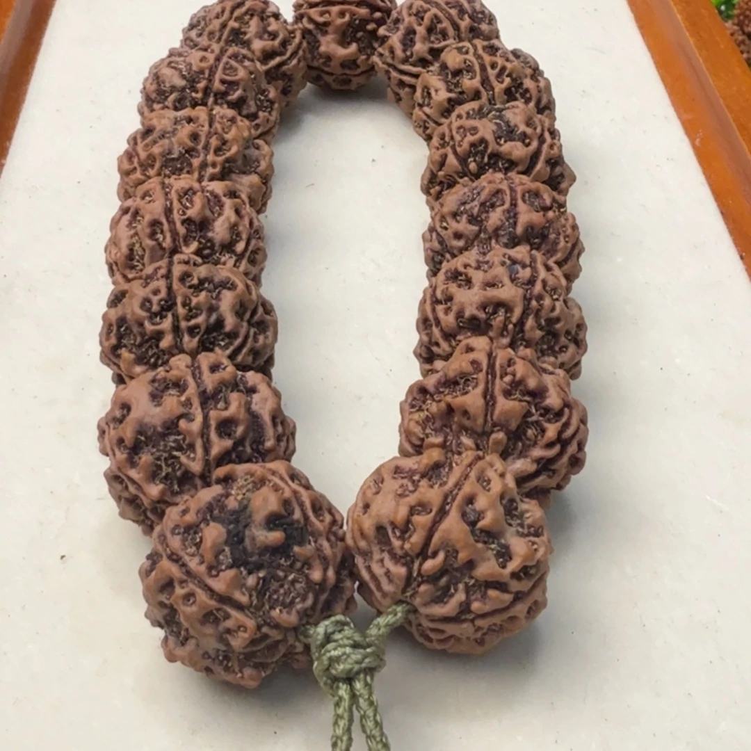 吊坠金刚菩提粗筋大镂空蜂窝双龙老籽黄色超头