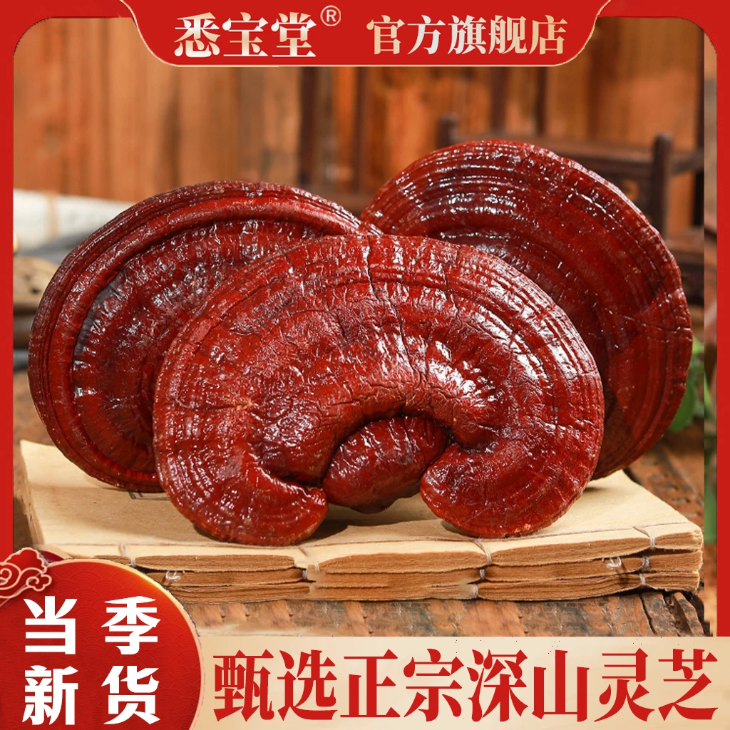 BB正品灵芝深山干货整枝灵芝煲汤炖鸡泡茶泡酒