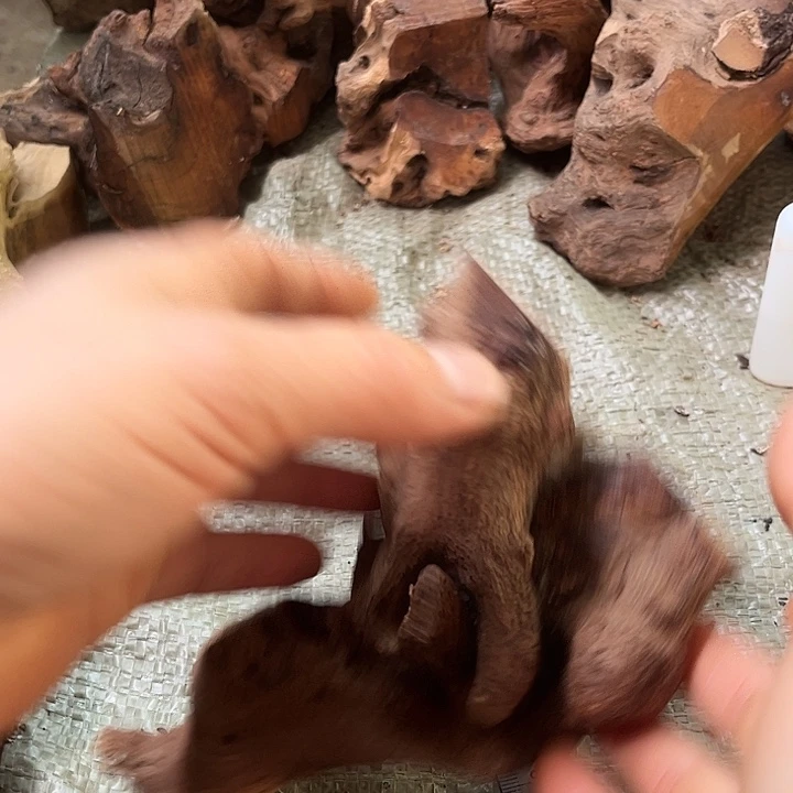 香榧木发信息给你的时候